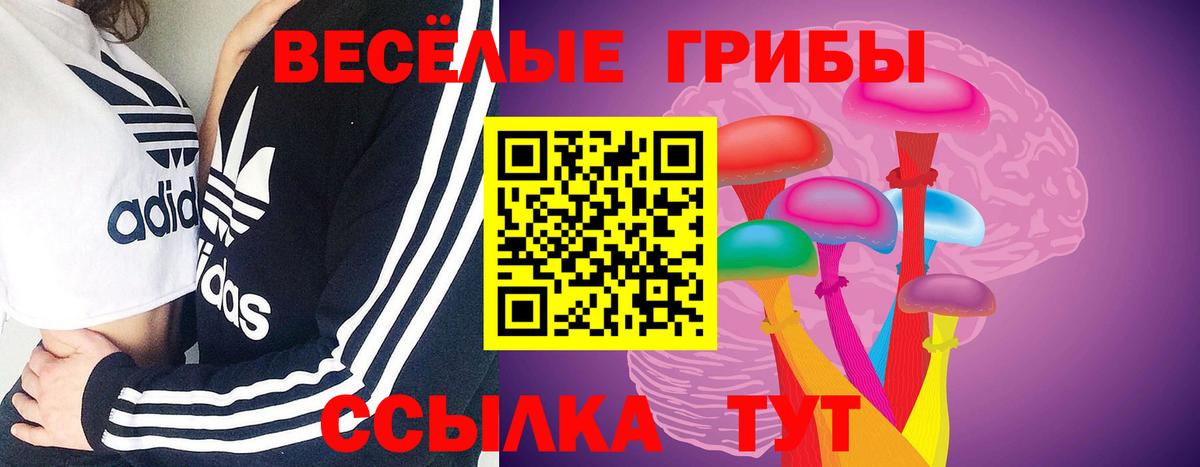 Корсаков  Конопля  Магазины продажи наркотиков  АМФ   Alpha-PVP СОЛЬ   Вход с VPN  Кодеин  КОКАИН  ГЕРОИН  Меф  
